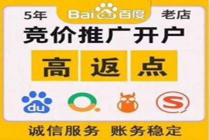 SEM网络推广案例：打造行业影响力品牌